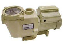 Pentair IntelliFlo VF Pump 011012