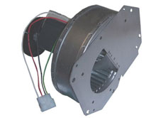 Raypak Heater Blower 010042F