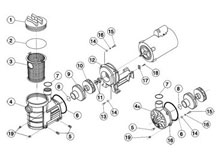 .Eagle Pump Diagram