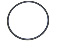 Aqua-Flo A-Series Pump Lid O-Ring 92200000