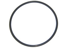 aqua-flo dominator pump seal plate o-ring