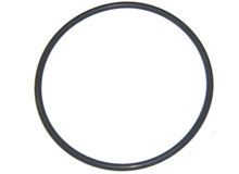 Eagle Pump Lid O-Ring 39204100 O-161