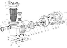 .NorthStar Hayward Pump Diagram