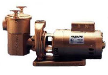 Aqua-Flo A-Series Pump