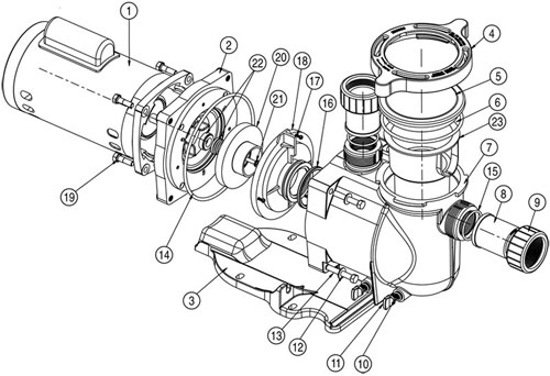 Pentair SuperFlo Pump Diagram